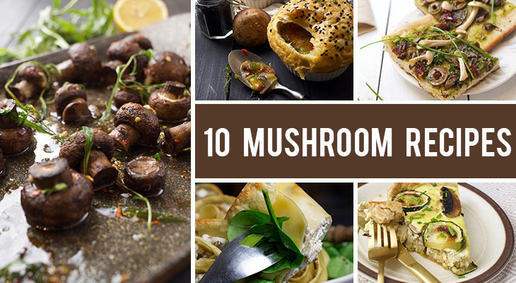 How To Cook Mushrooms - 10 Innovative Mushroom Recipes You'll Love